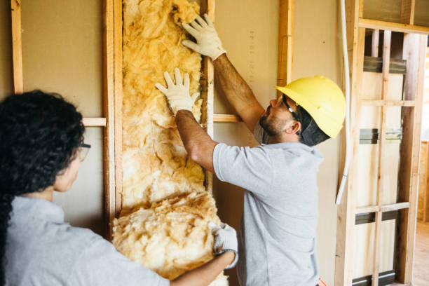 Professional Insulation in Odenville, AL